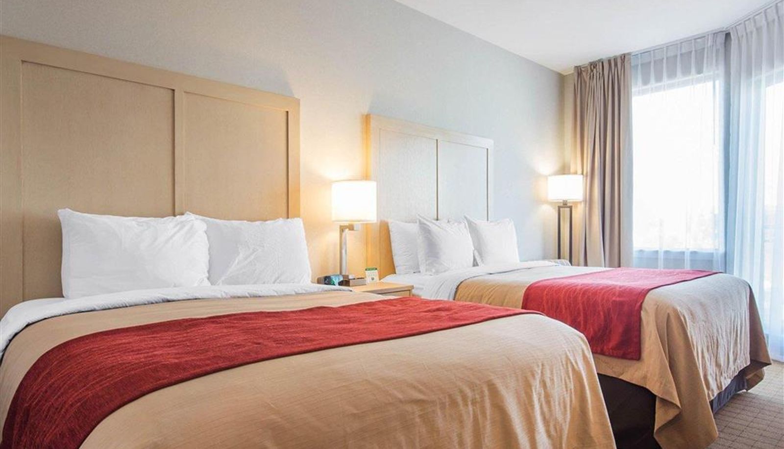 Room - Comfort Inn & Suites