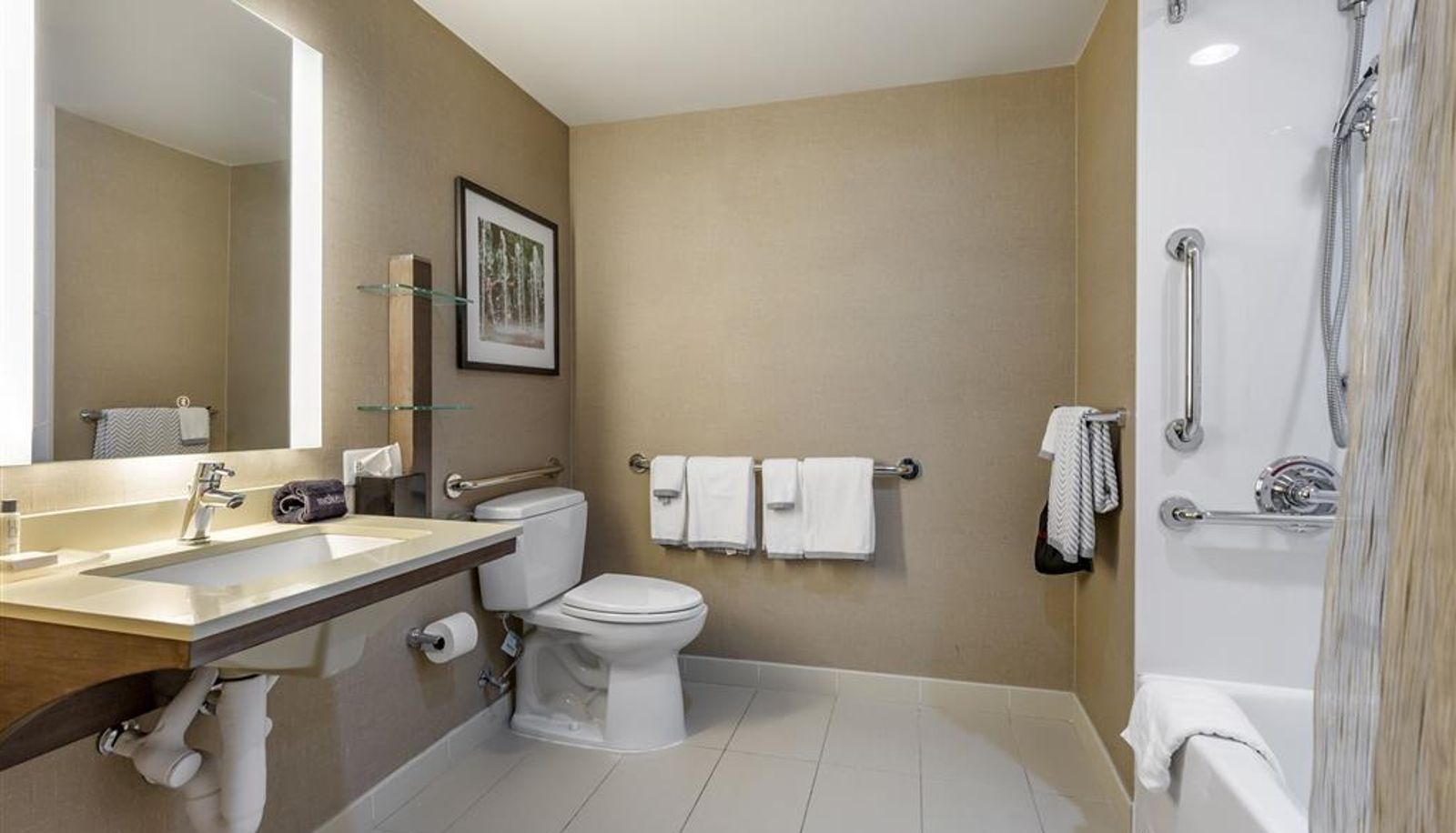 Zimmer - Cambria Hotel Rockville