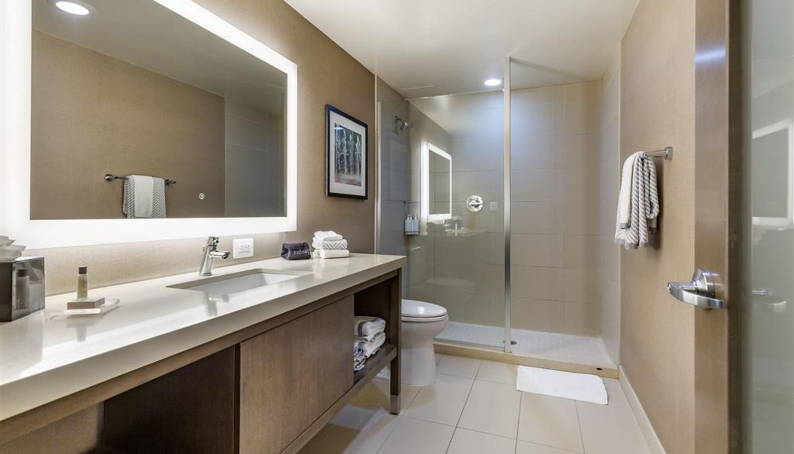 Room - Cambria Hotel Rockville