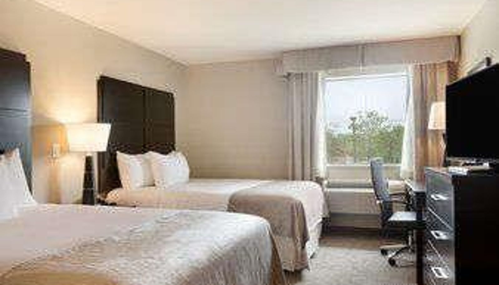Chambre - Baymont by Wyndham College Station