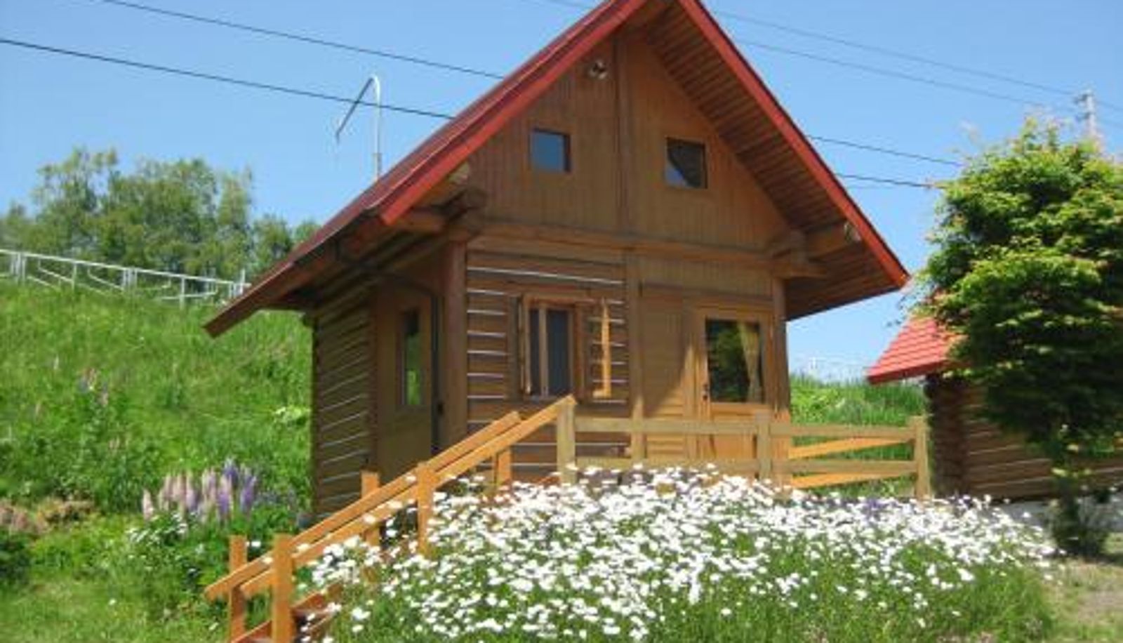 Chambre - Log Cottage Himawari