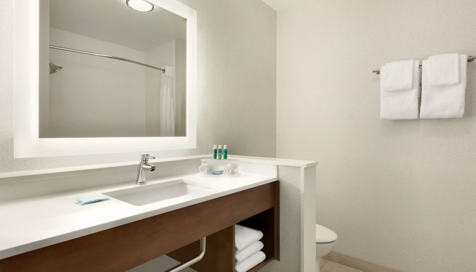 Apartment - Holiday Inn Express & Suites SALISBURY by IHG