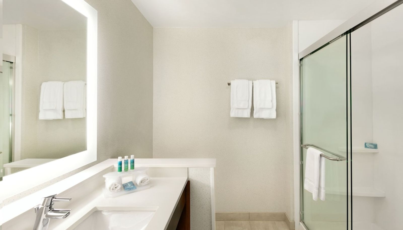 Apartment - Holiday Inn Express & Suites SALISBURY by IHG
