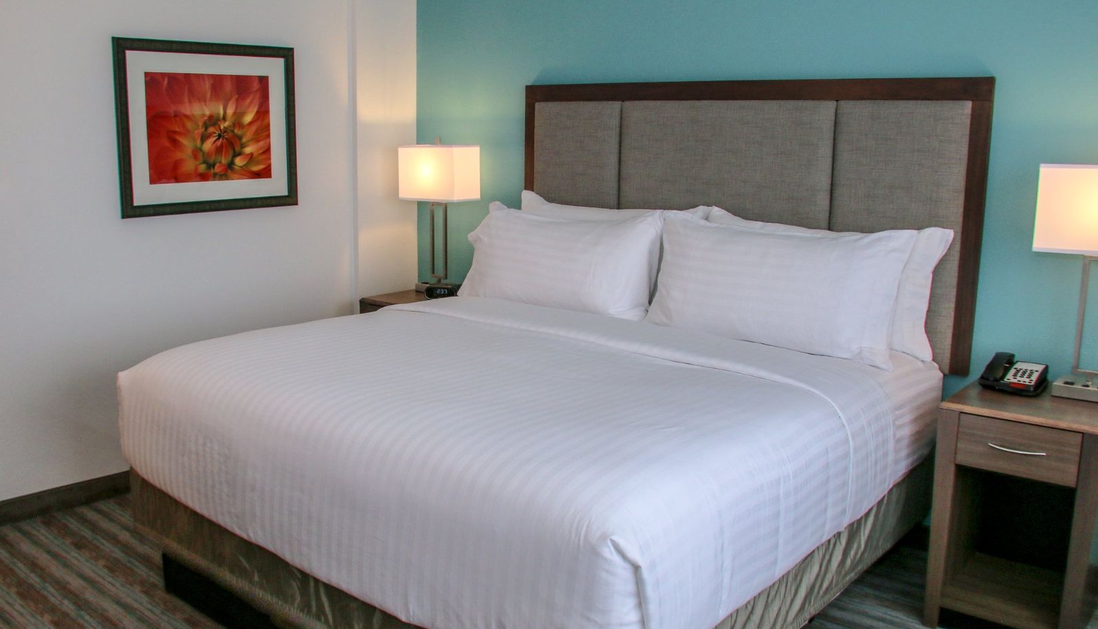 Room - Holiday Inn & Suites DENVER TECH CENTER-CENTENNIAL by IHG