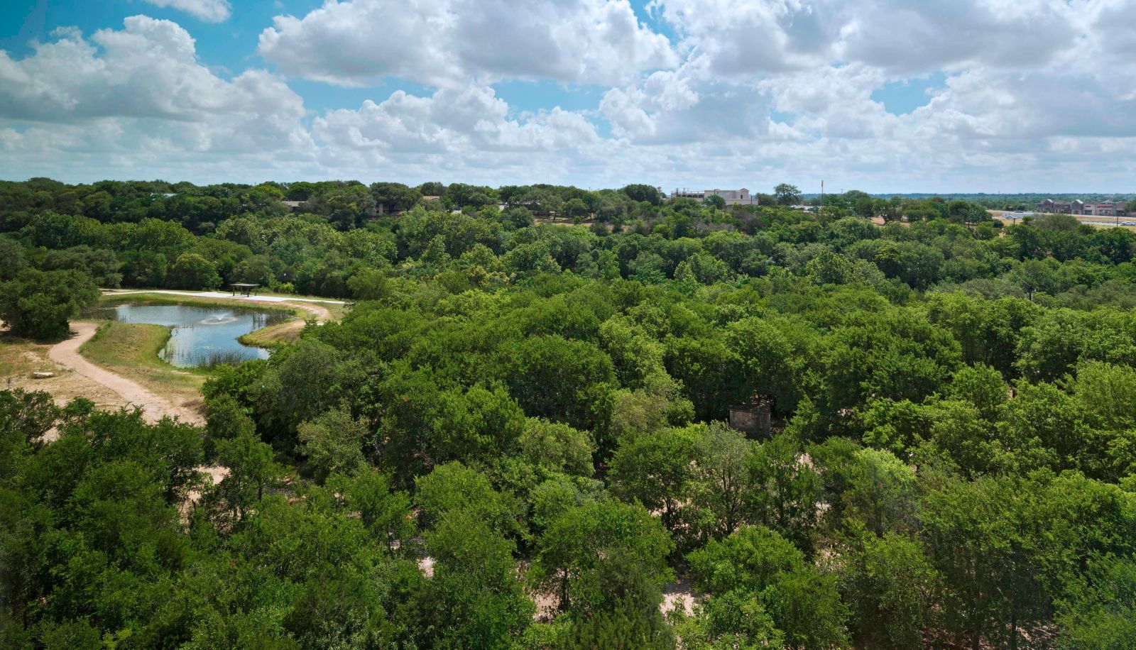 Zimmer - Sheraton Georgetown Texas Hotel and Conference Center