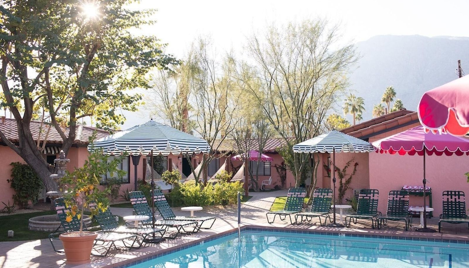 Pool - Les Cactus