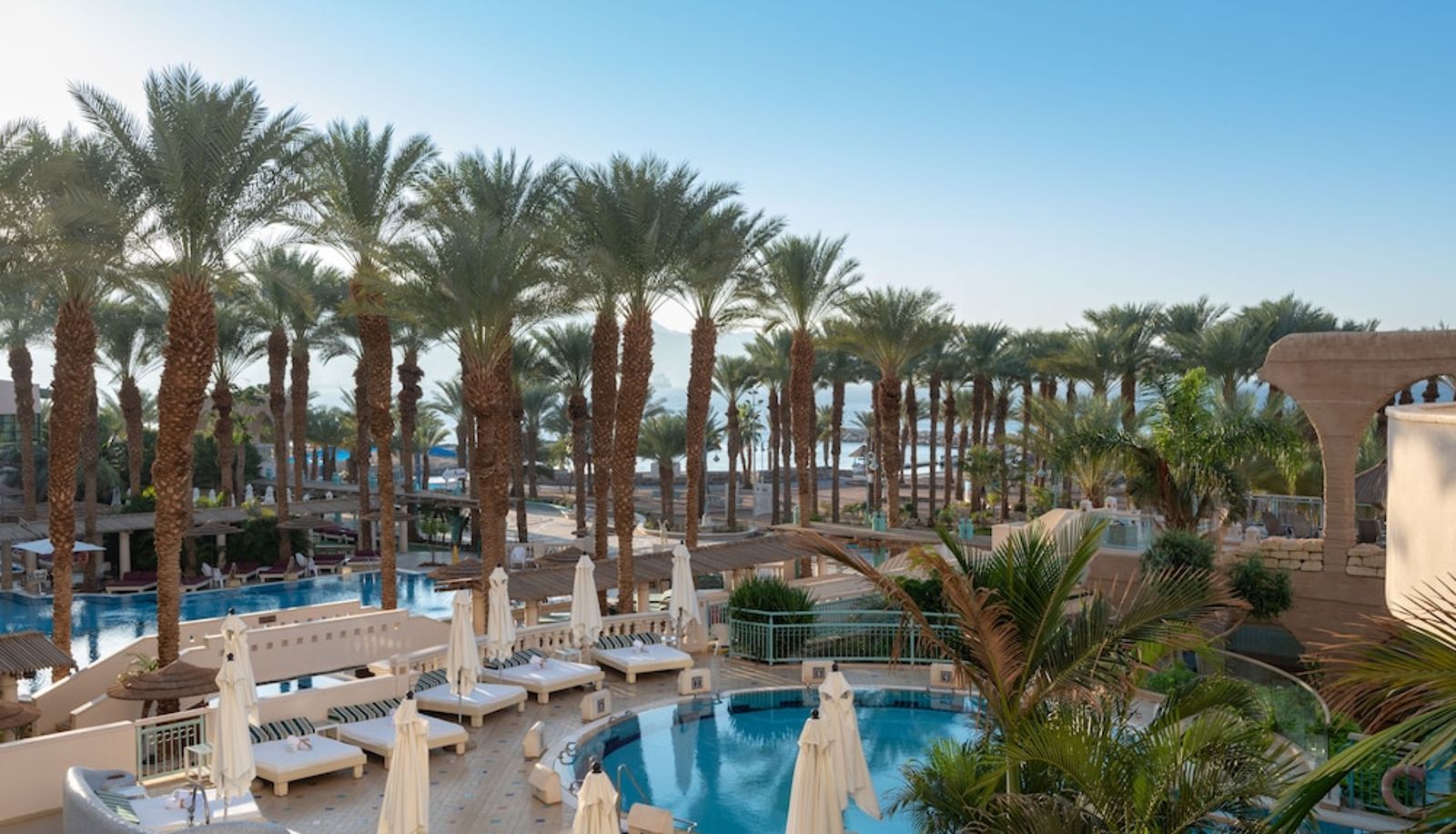 Pool - Herods Vitalis Spa Hotel Eilat