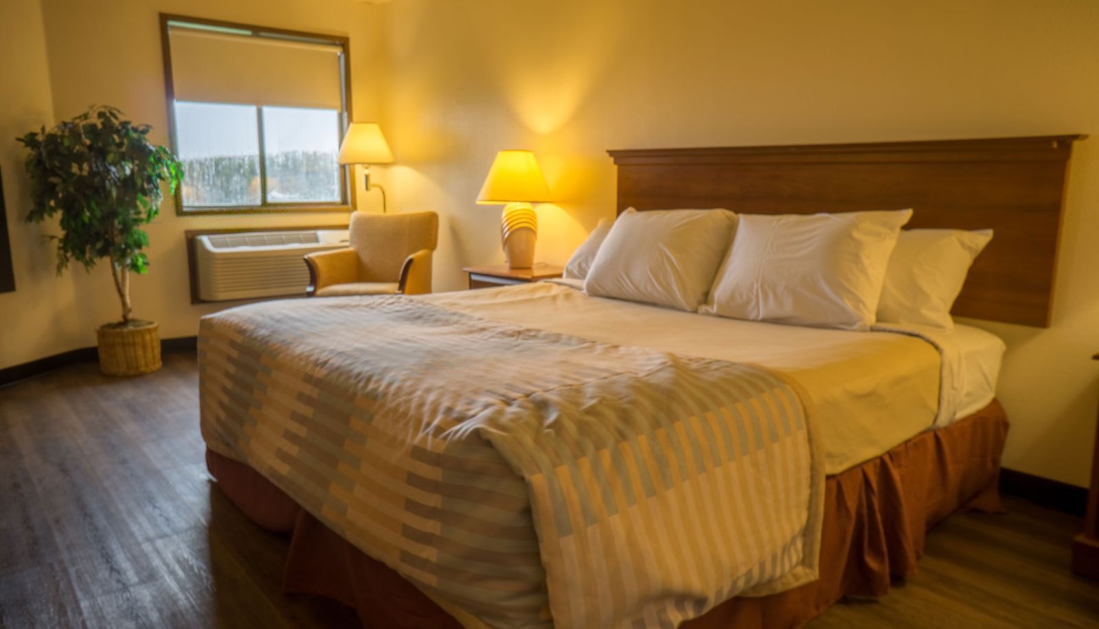 Zimmer - Sunnyside Inn and Suites