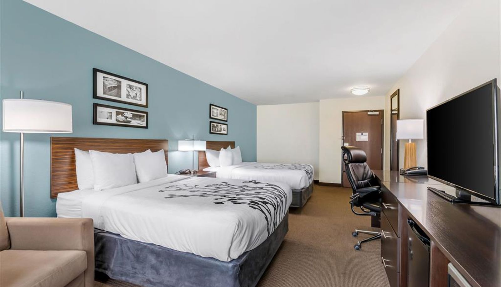 Room - Sleep Inn & Suites Ames near ISU Campus
