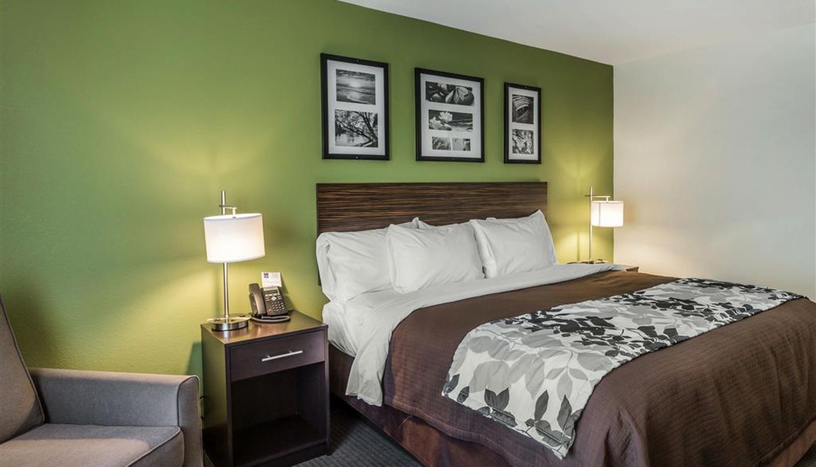 Kamer - Sleep Inn & Suites Dayton South