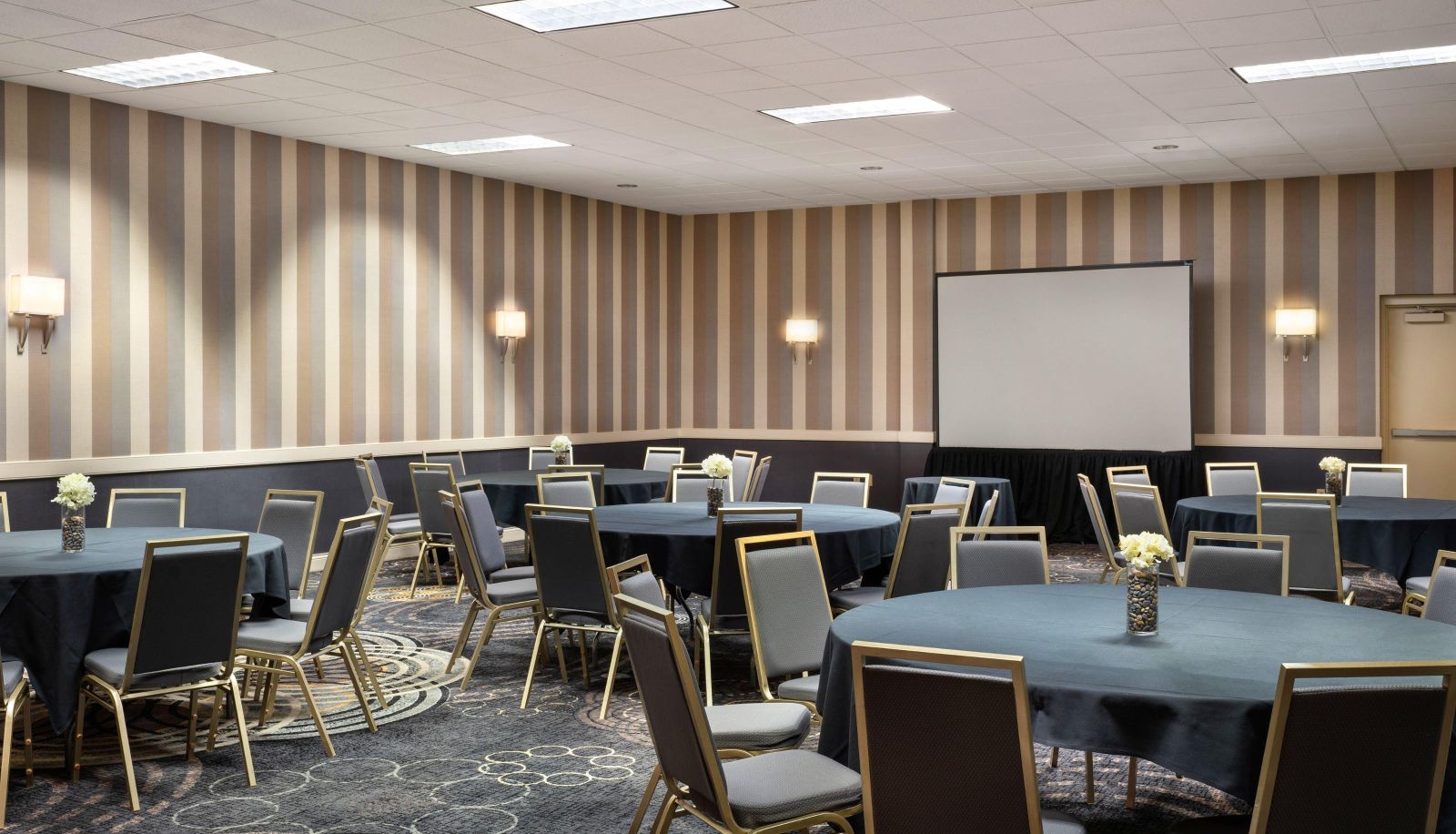 Salle de conférence - Avalon Hotel