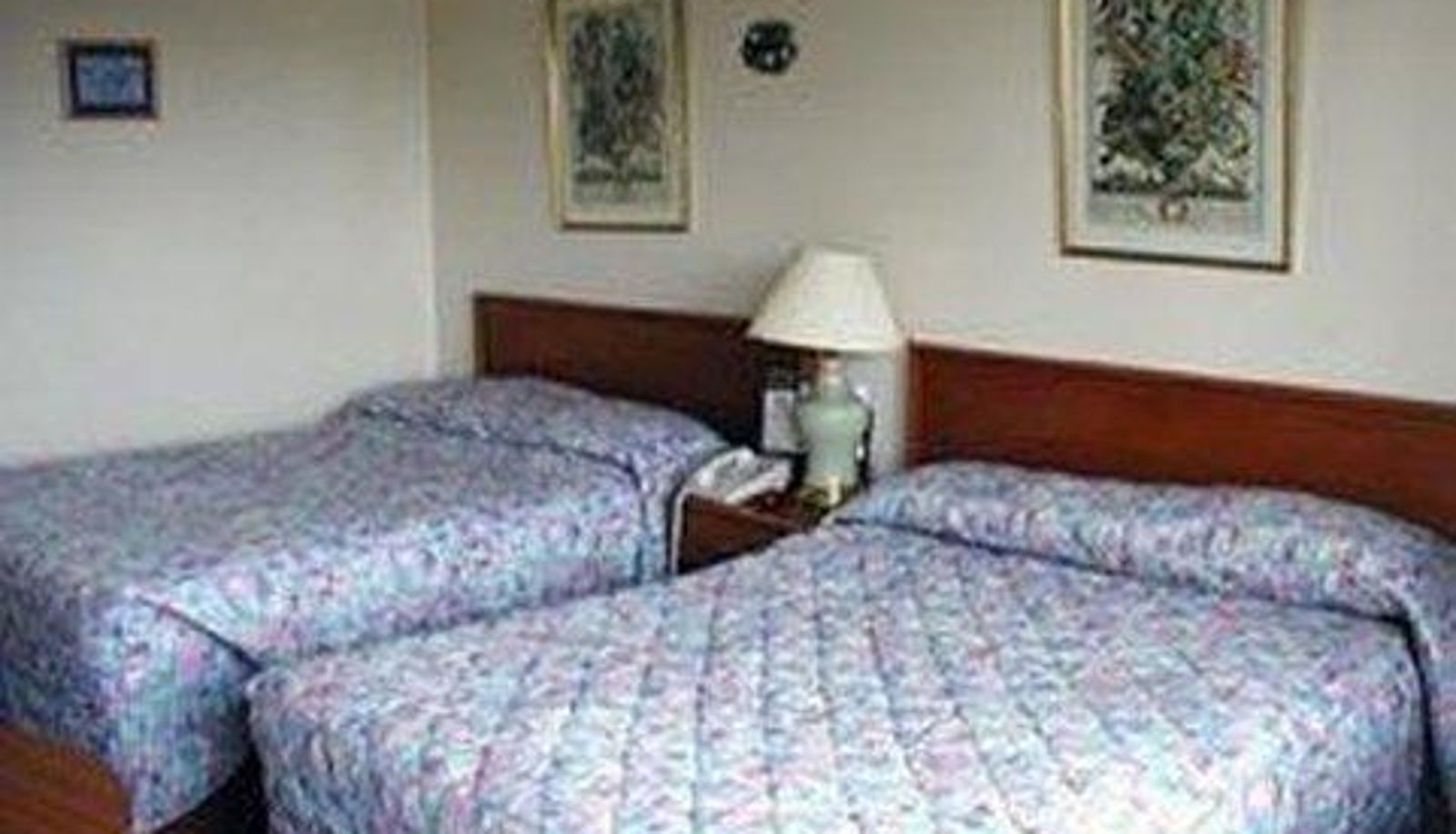 Room - ABVI Shoreline