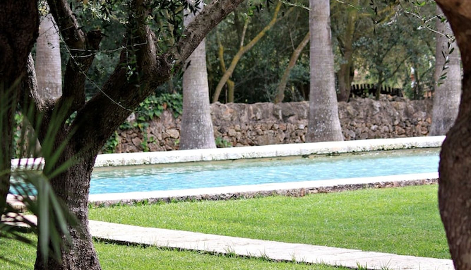 Piscine - Petit Hotel Es Figueral