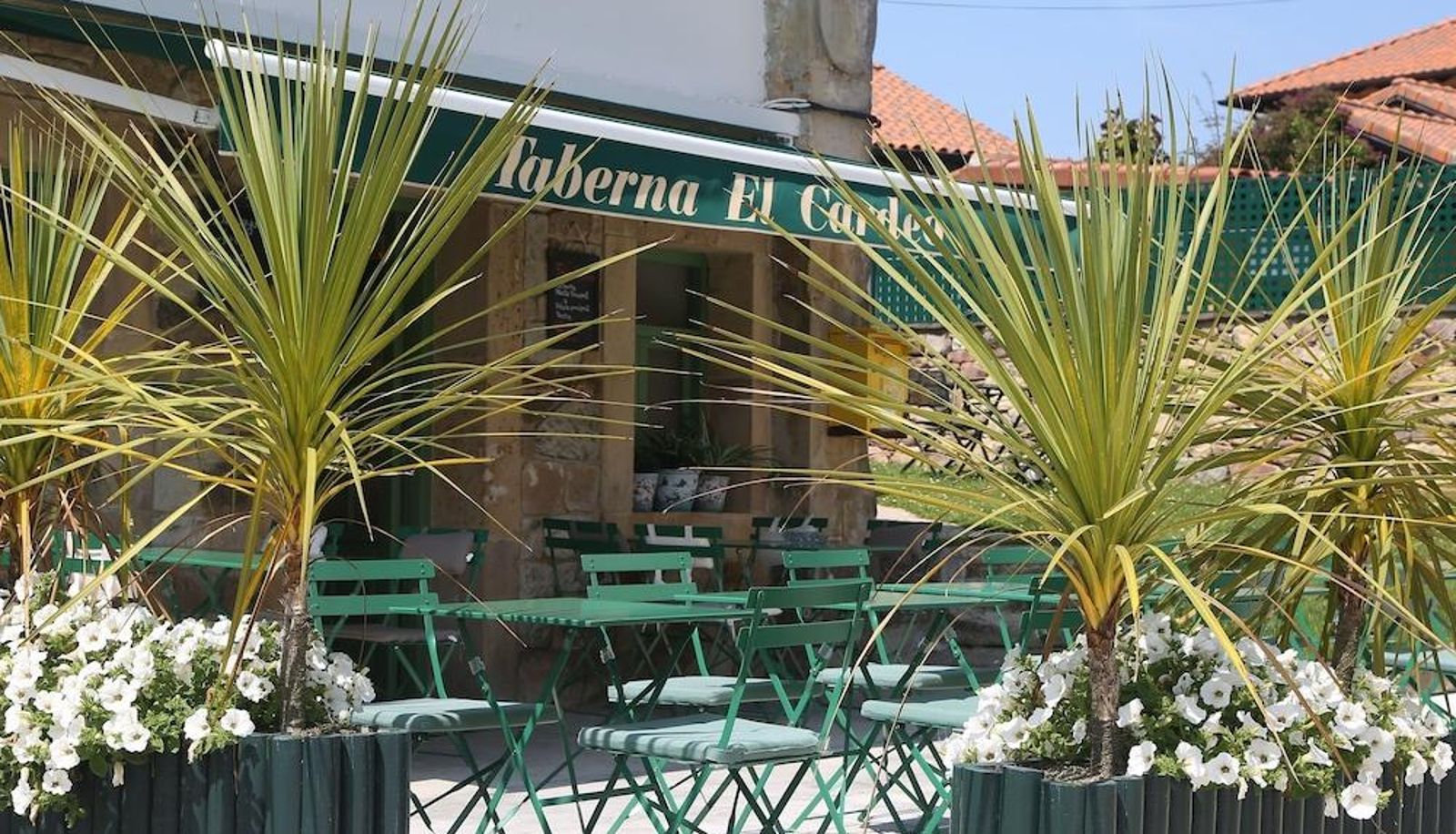 Zona exterior del hotel - Apartamentos el Cardeo