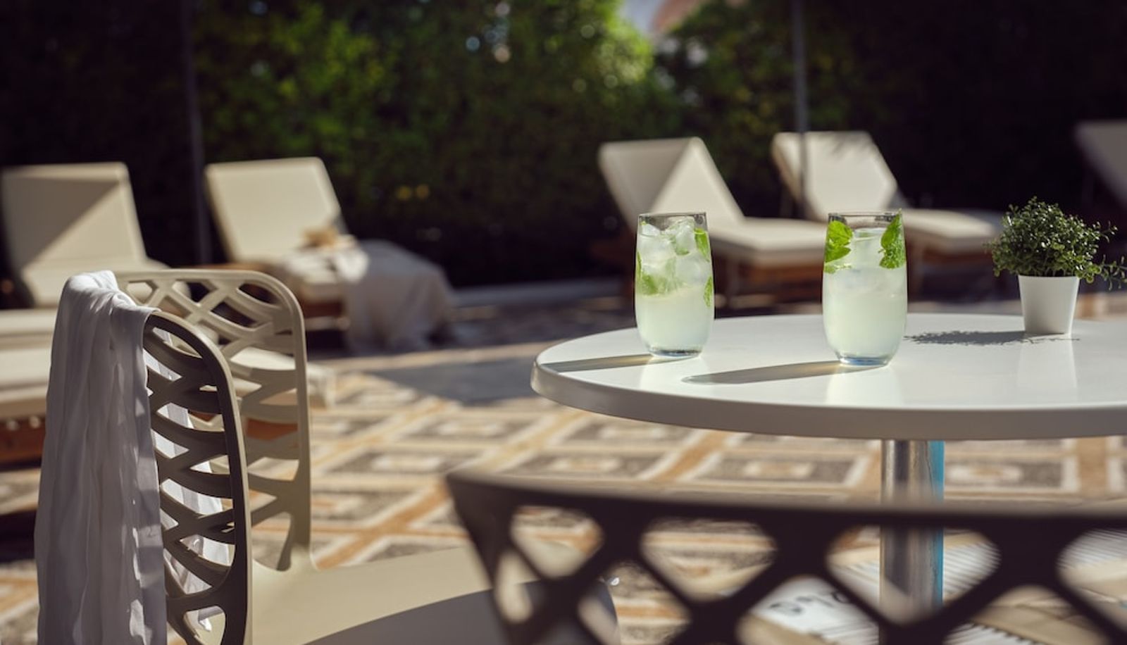 Pool - Cactus Hotel