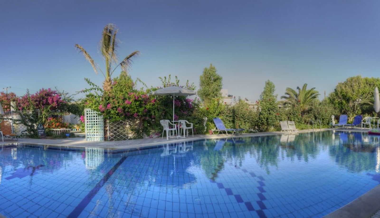 Piscine - Violetta Hotel