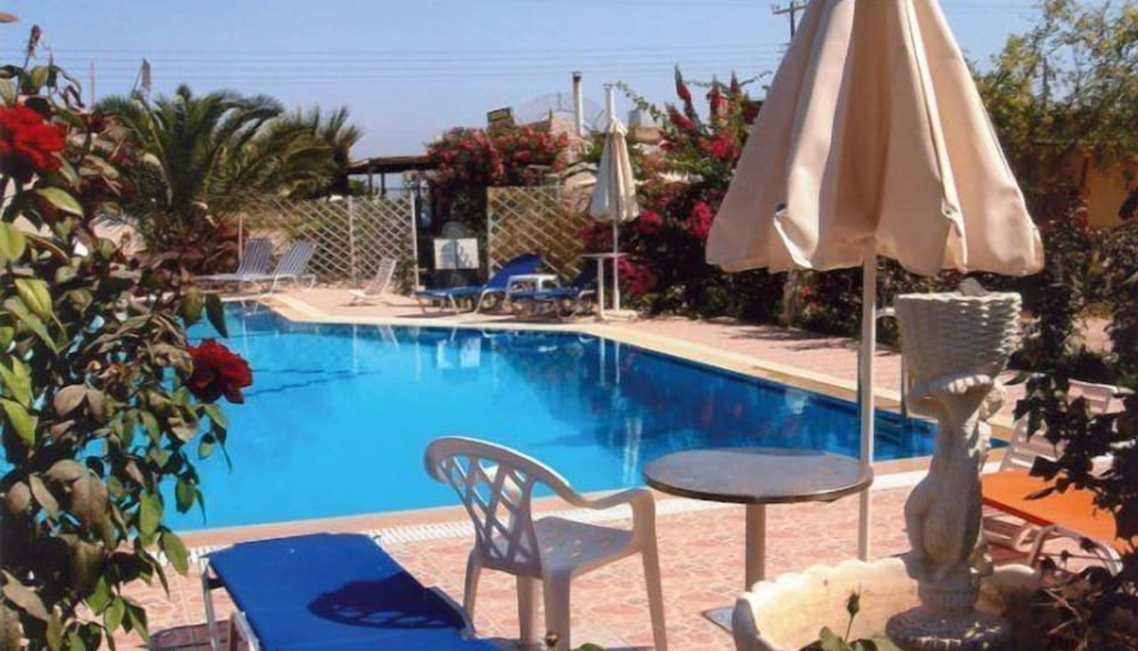 Piscine - Violetta Hotel