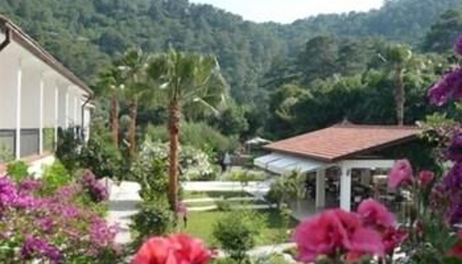 Entorno - Sultan Palas Hotel
