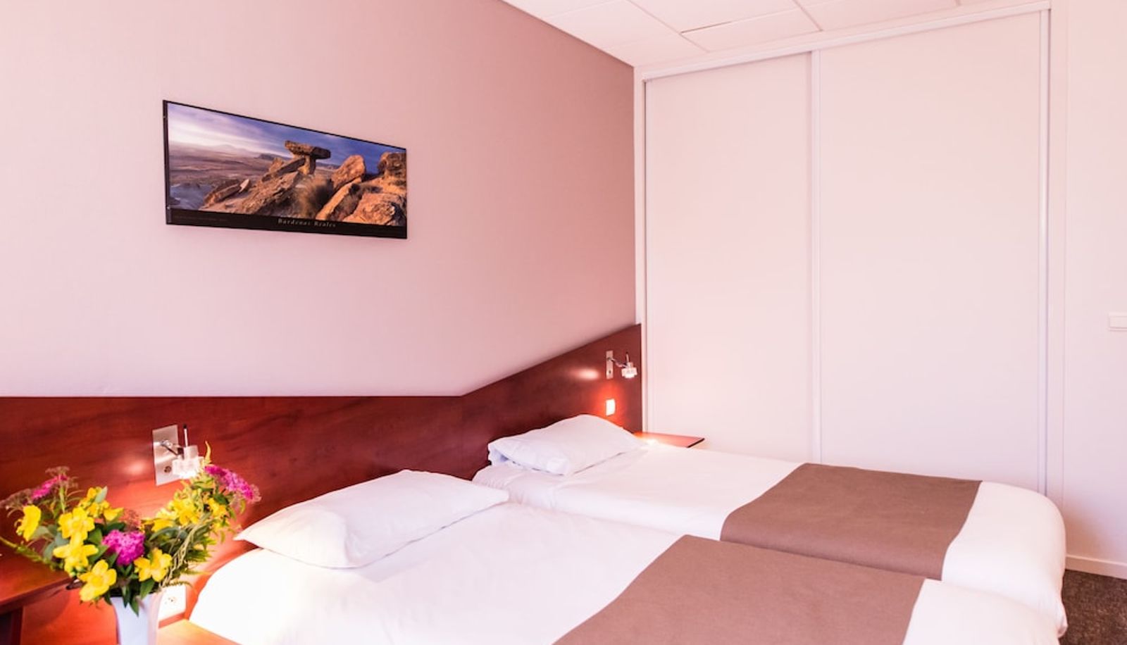 Standard room - Hôtel du Palois Pau Centre Bosquet