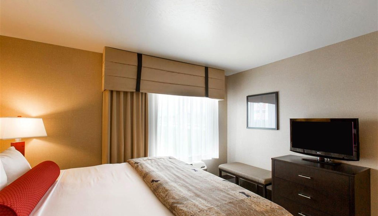 Kamer - Cambria Hotel Rapid City near Mount Rushmore