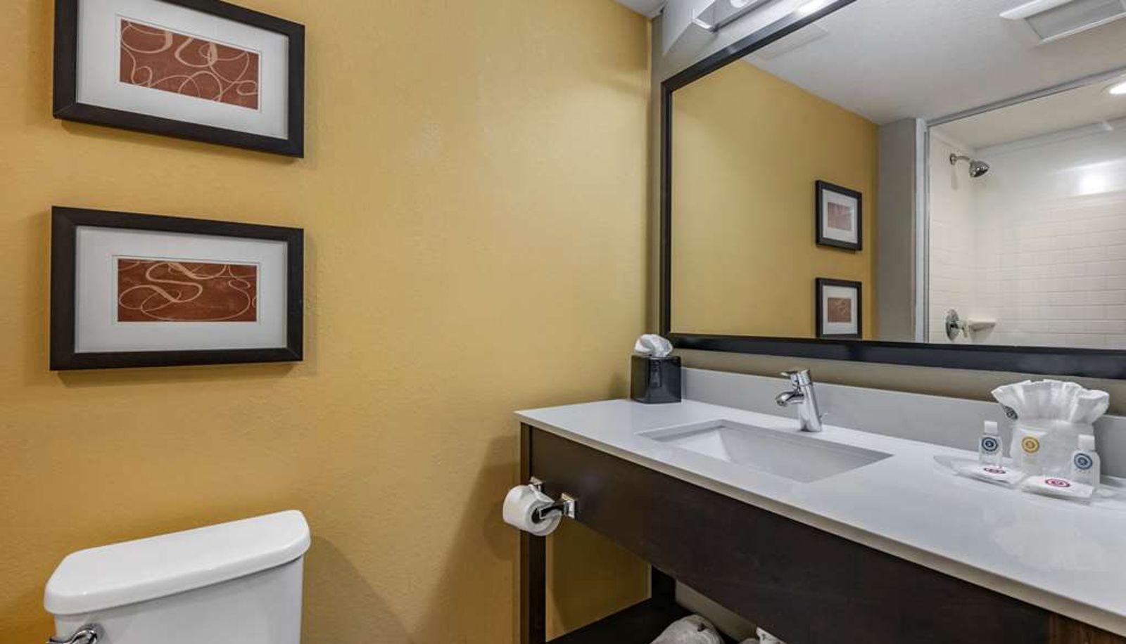 Suite - Comfort Suites Fort Lauderdale Airport South & Cruise Port