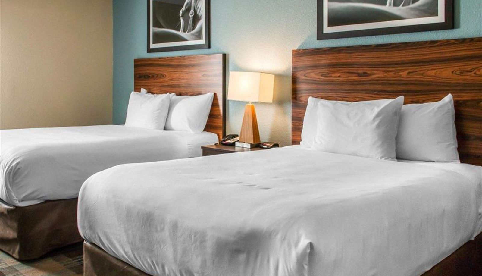 Room - MainStay Suites Cotulla