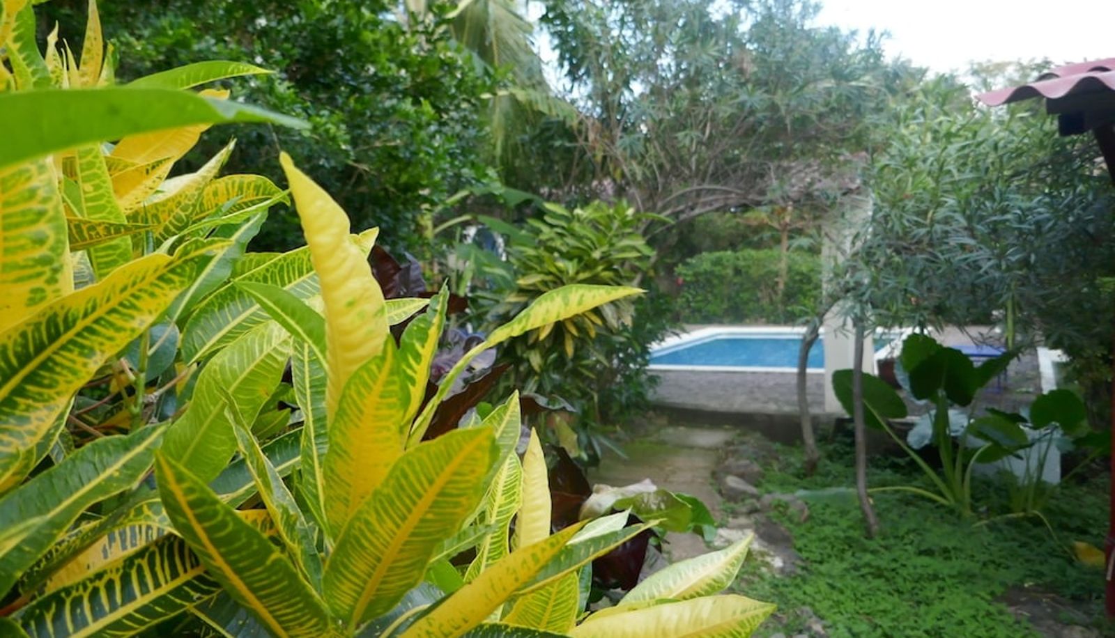 Pool - El Pacifico Hotel