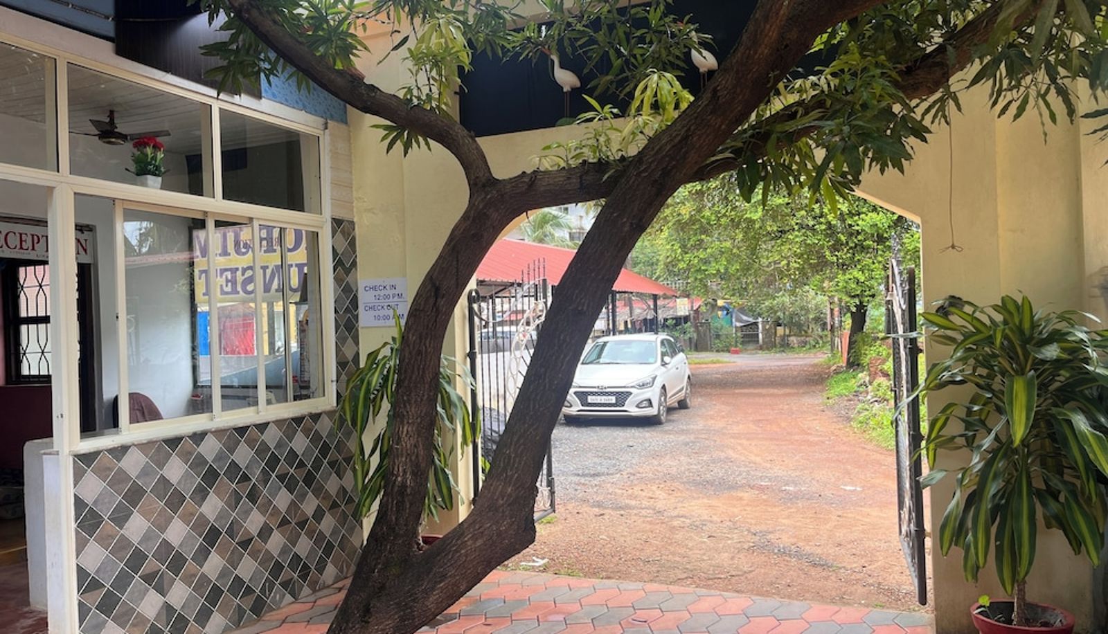 Recepcja - Morjim Sunset Hotel