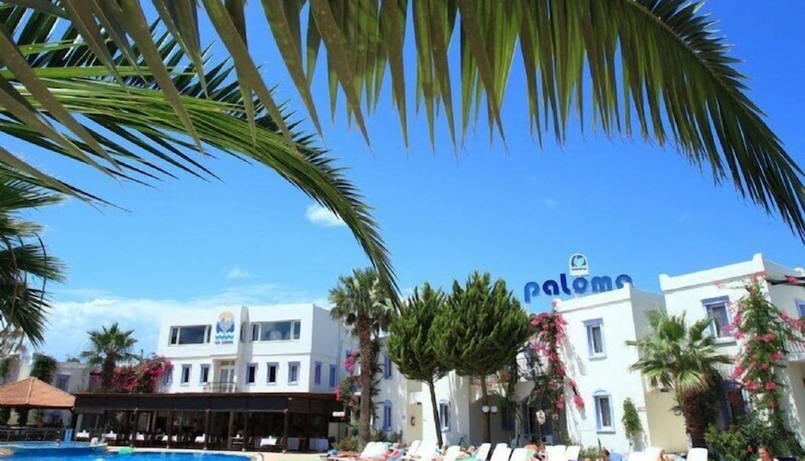 Pool - Club Paloma Apart
