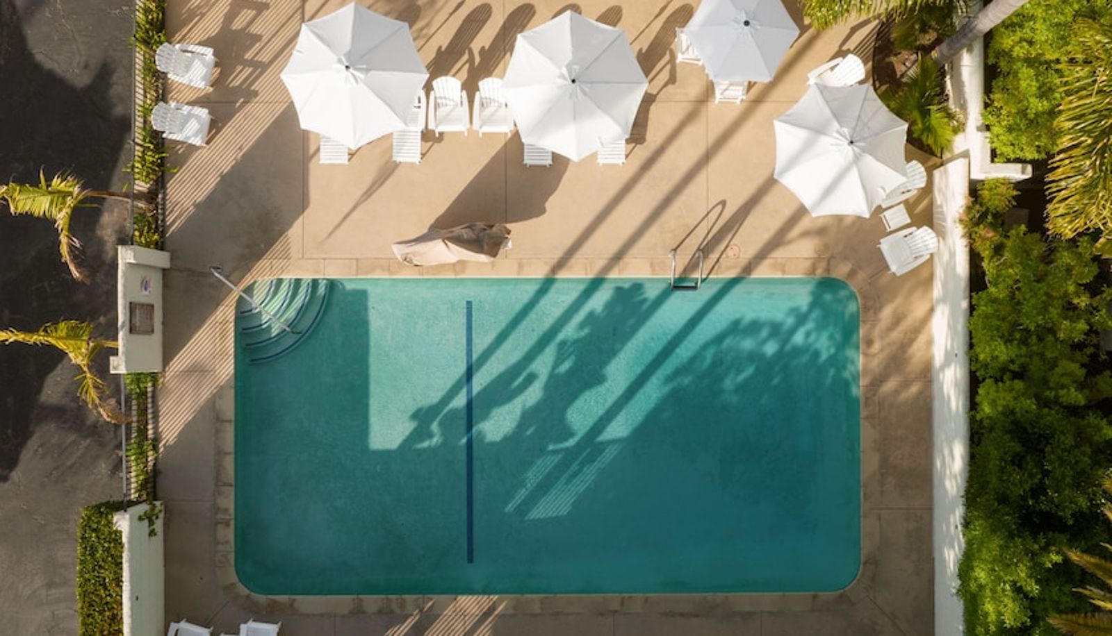 Pool - The Franciscan Hotel