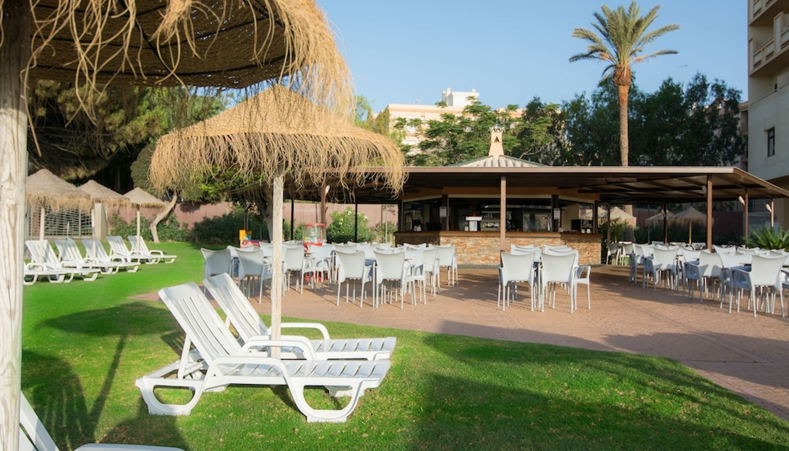 Terrace - BLUESEA Costa Serena