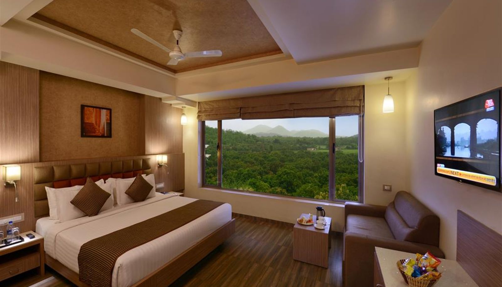 Zimmer - Sarovar Portico Gir