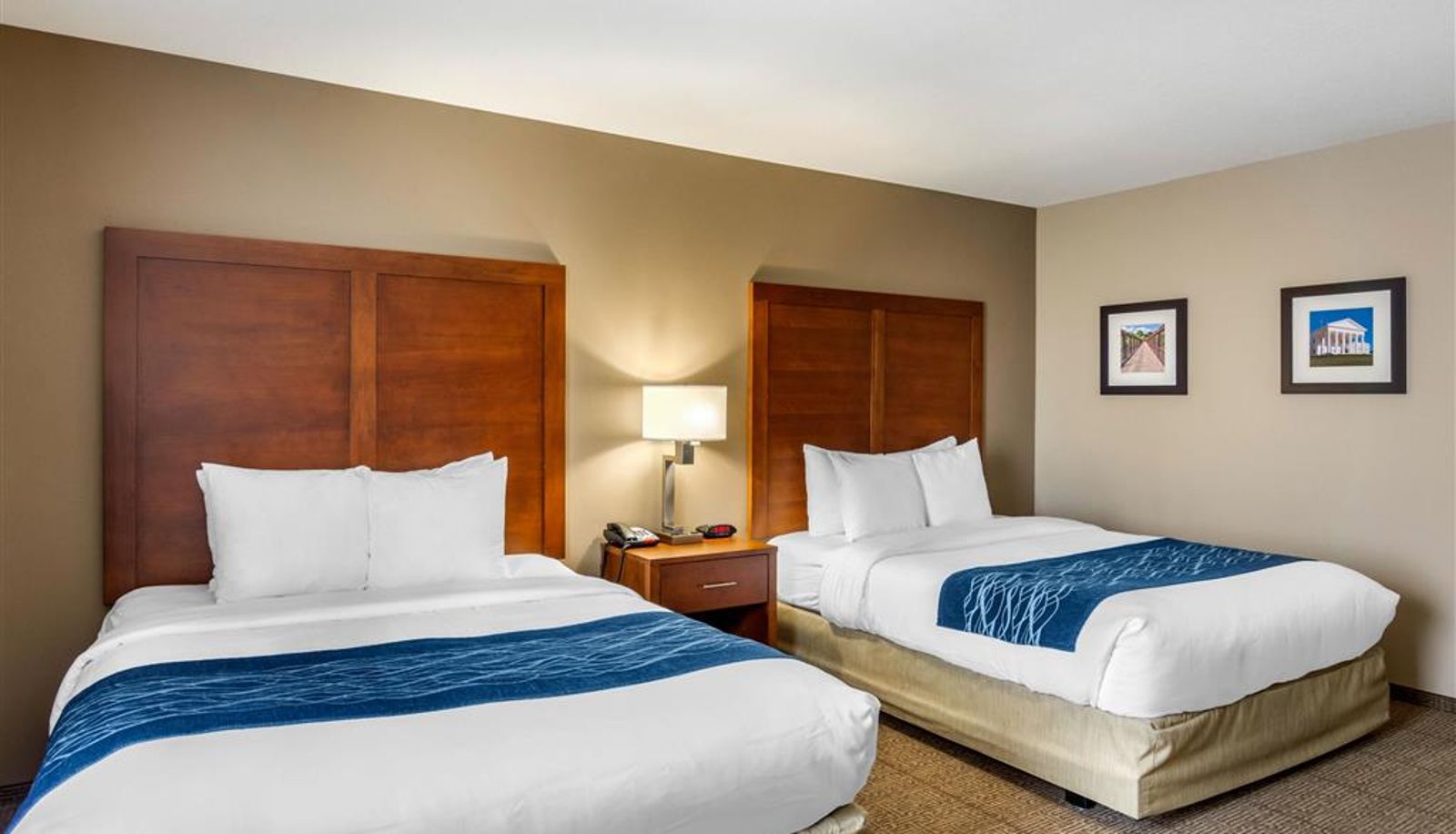 Room - Comfort Inn South Chesterfield - Colonial Heights