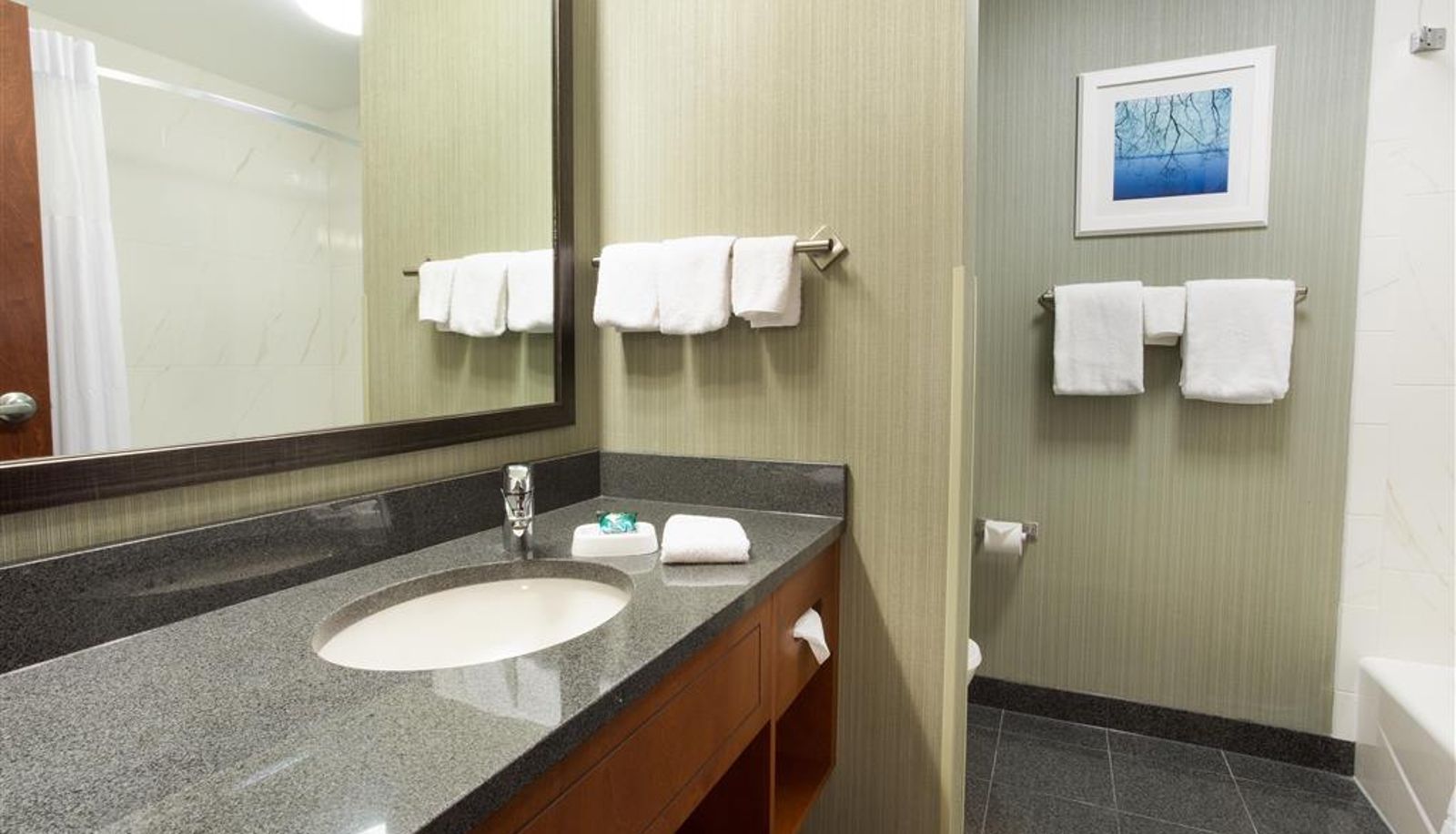 Zimmer - Drury Inn and Suites Burlington
