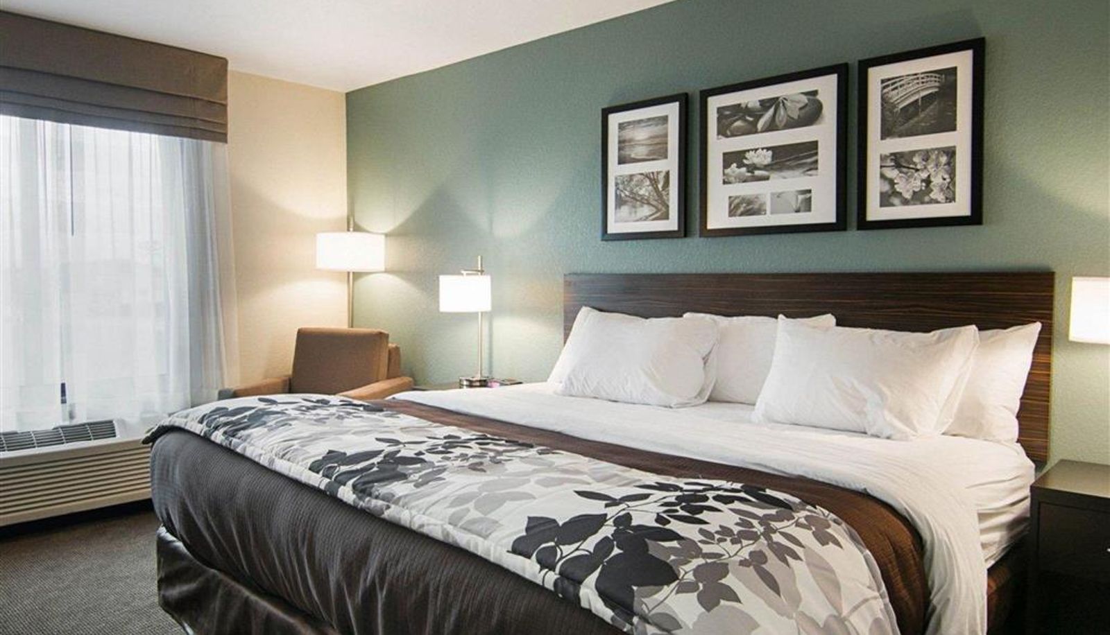 Zimmer - Sleep Inn & Suites Fort Dodge
