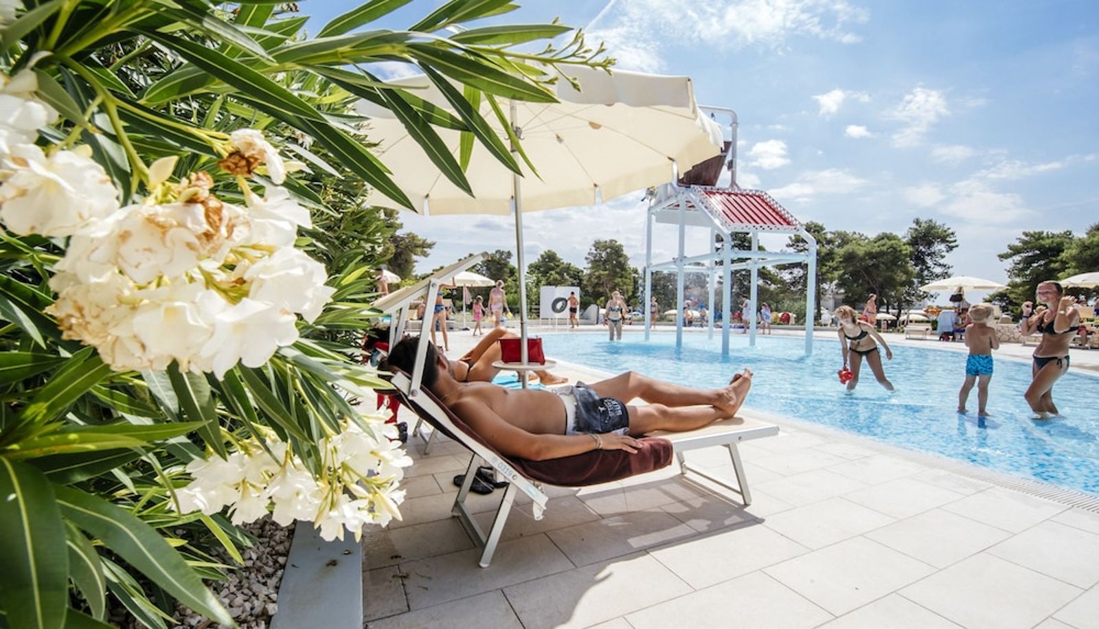 Zwembad - Zaton Holiday Resort Apartments