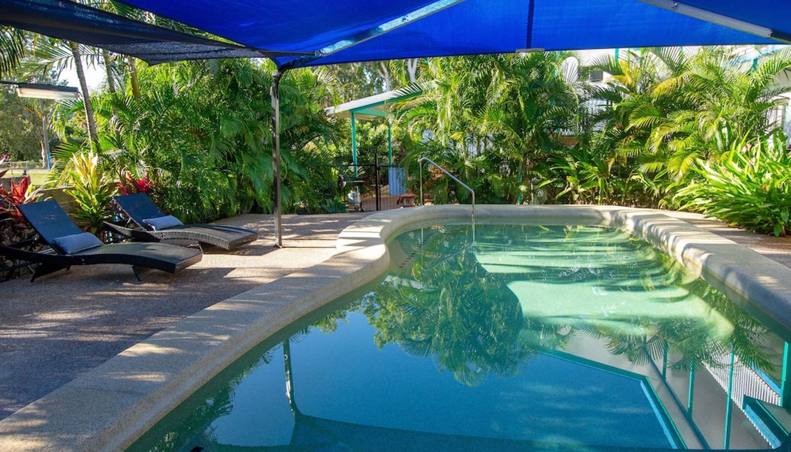 Pool - Tropical Palms