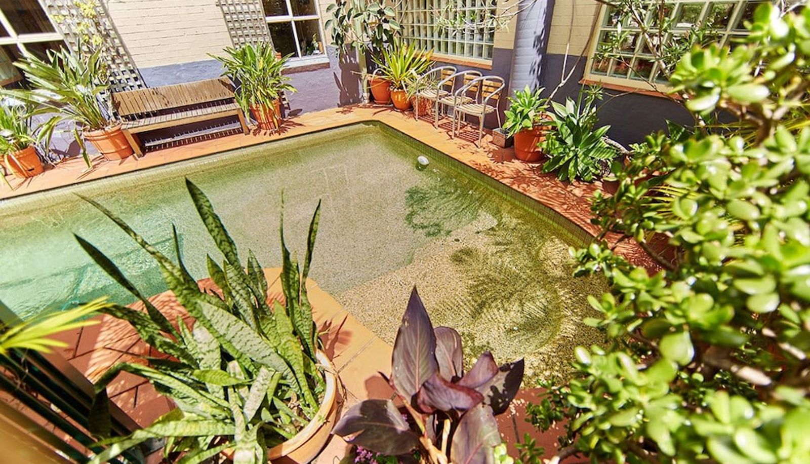 Piscine - Newtown Backpackers