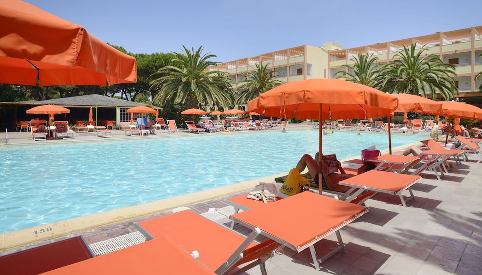 Pool - Hotel Oasis