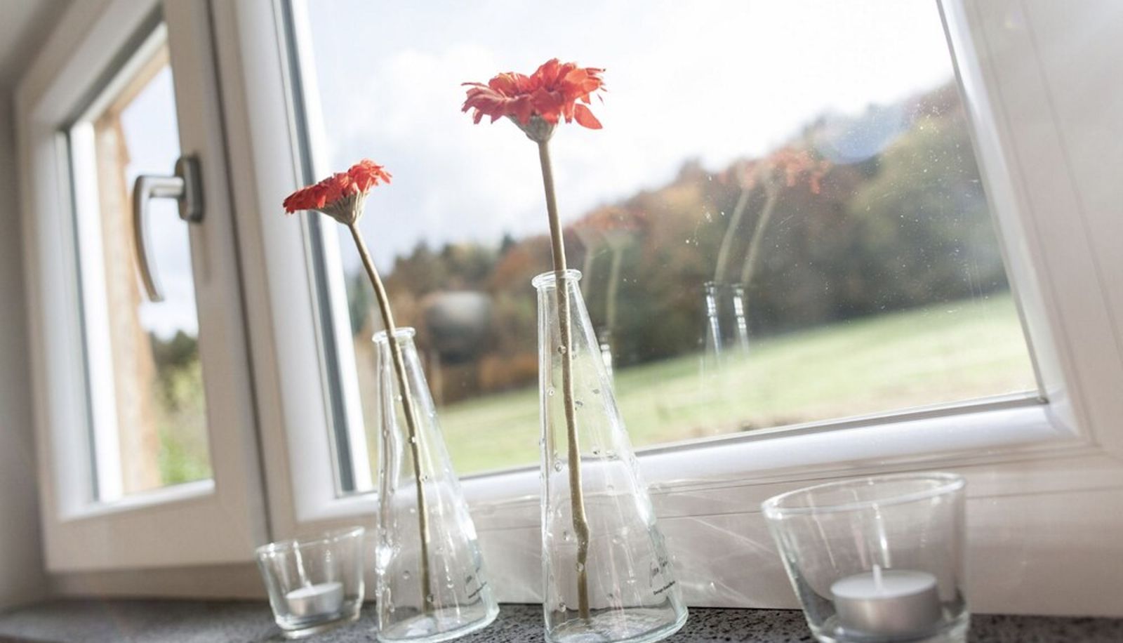 Info - EIFELTRAUM Magma