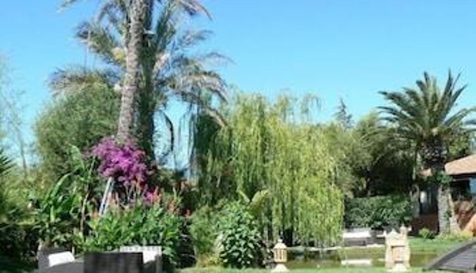 Environs - Hotel Mediterraneo