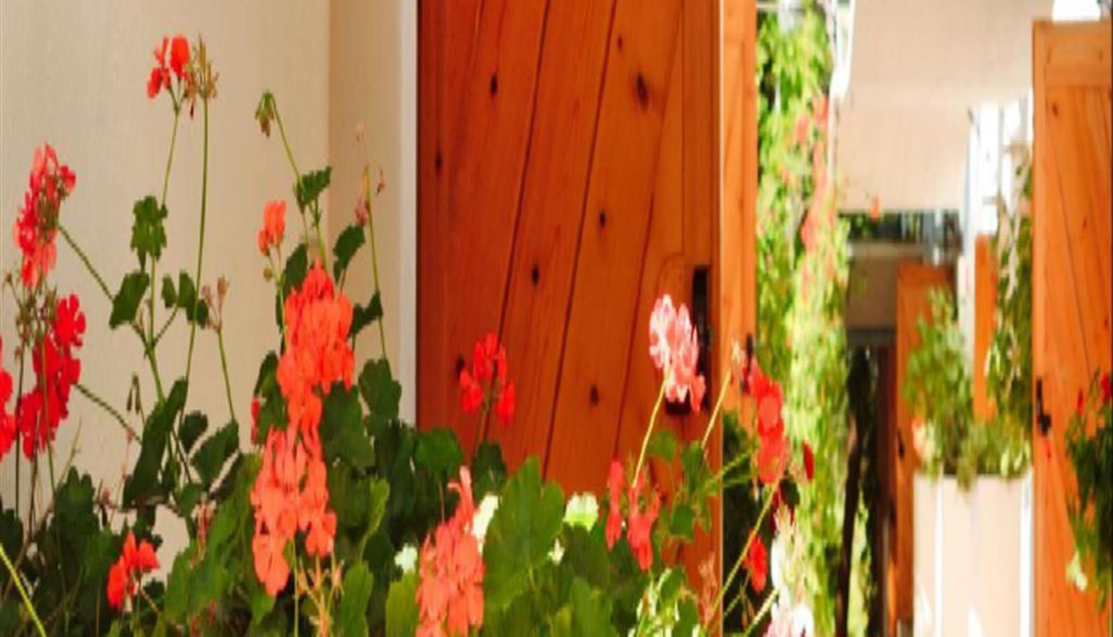 Interior view - HOTEL KYRIE ISOLE TREMITI