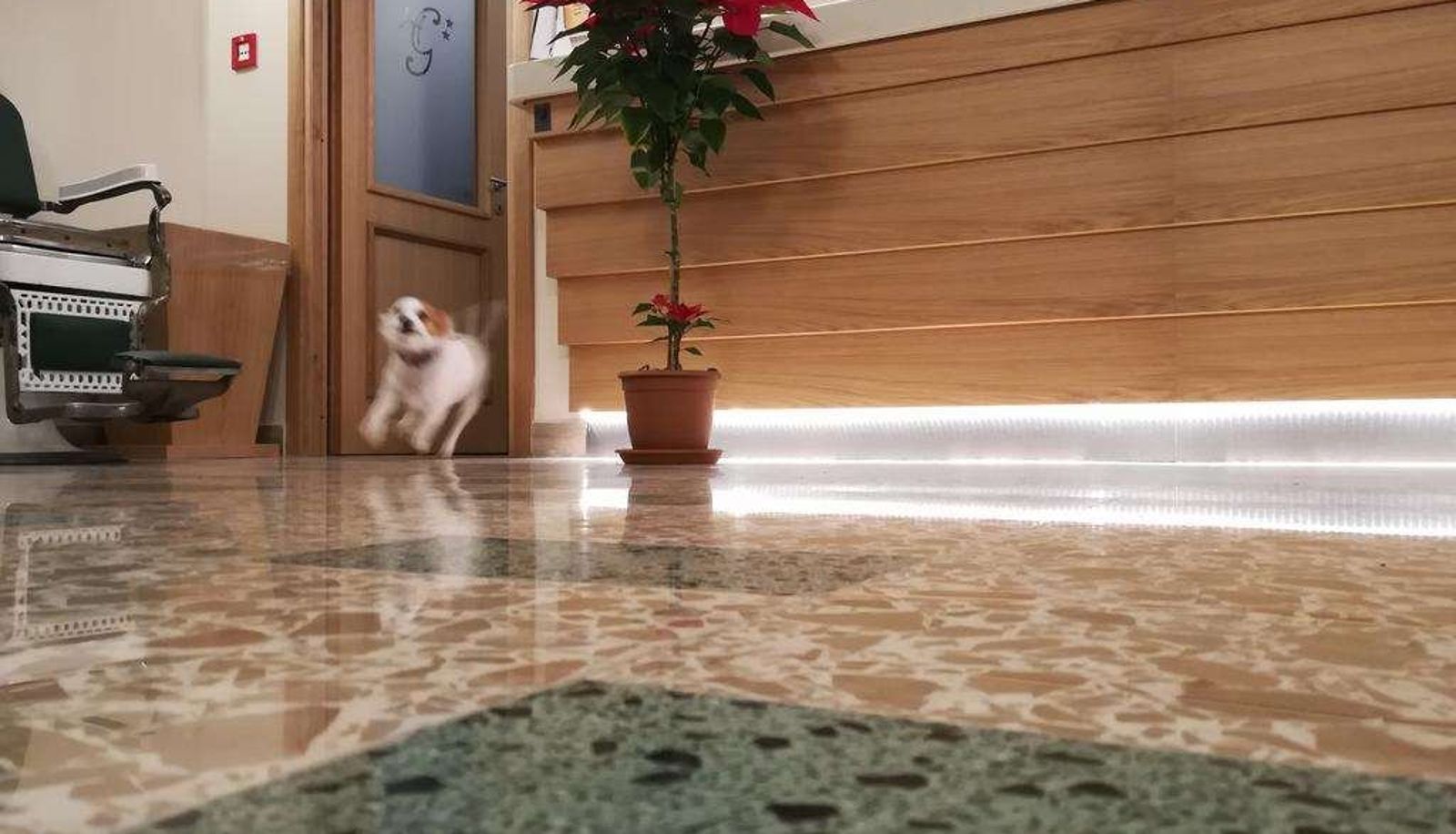 Lobby - HOTEL DEL GOLFO - FORMIA