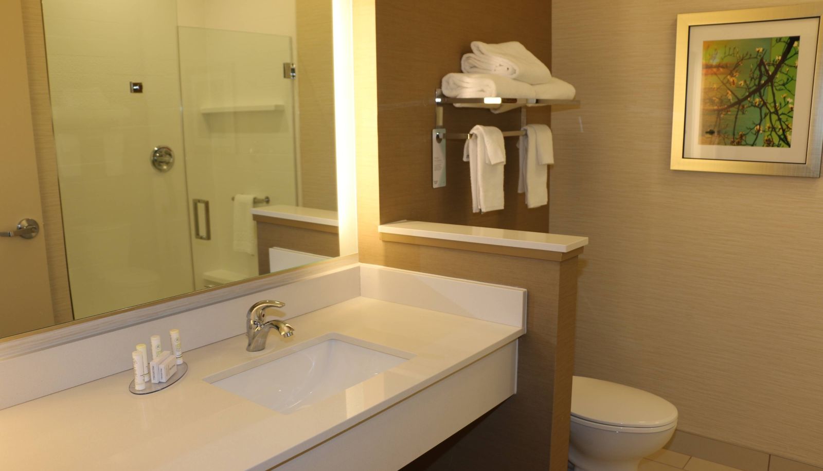 Camera - Fairfield Inn and Suites by Marriott Bowling Green