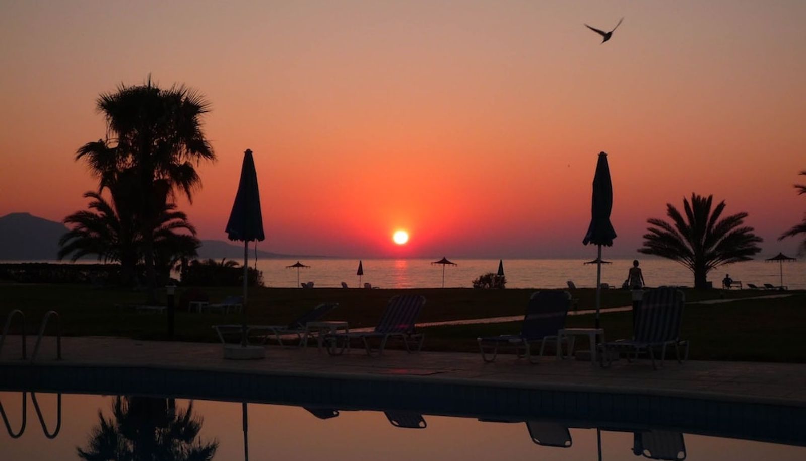 Pool - Natura Beach Hotel and Villas