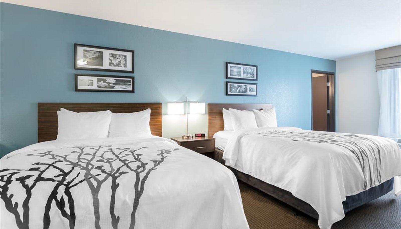 Kamer - Sleep Inn & Suites West Des Moines near Jordan Creek