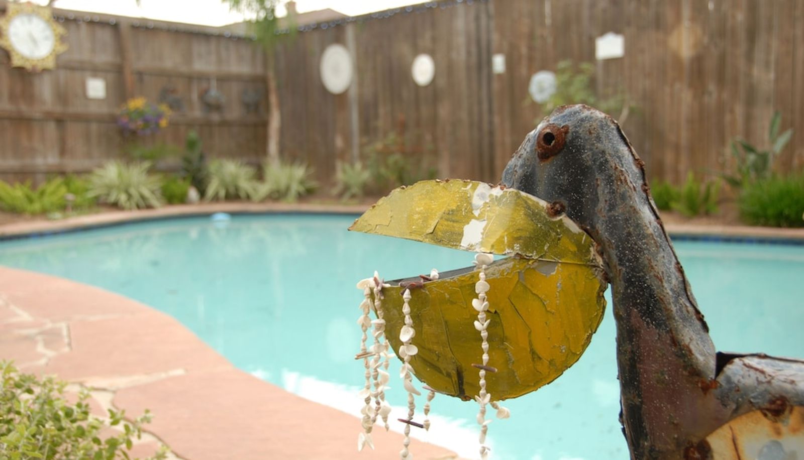 Pool - Coastal Dreams Bed & Breakfast