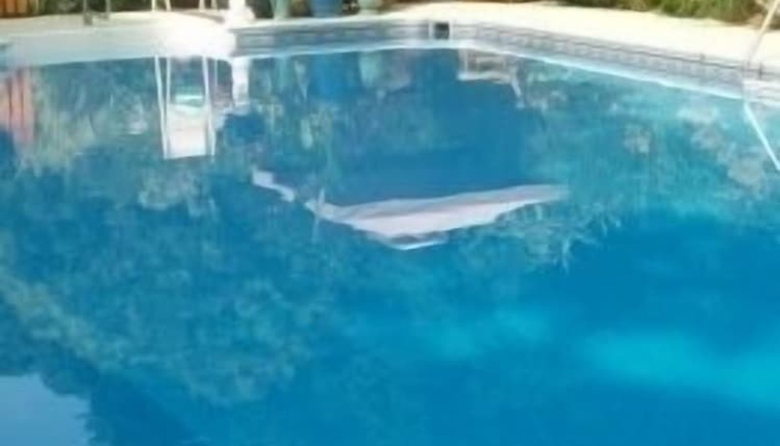 Pool - House of 1833 Bed & Breakfast & Gardens