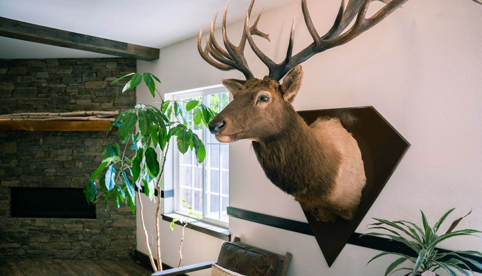 Salón - Blue Elk Inn