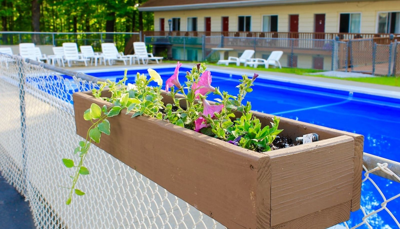 Piscina - The Motel Montreal